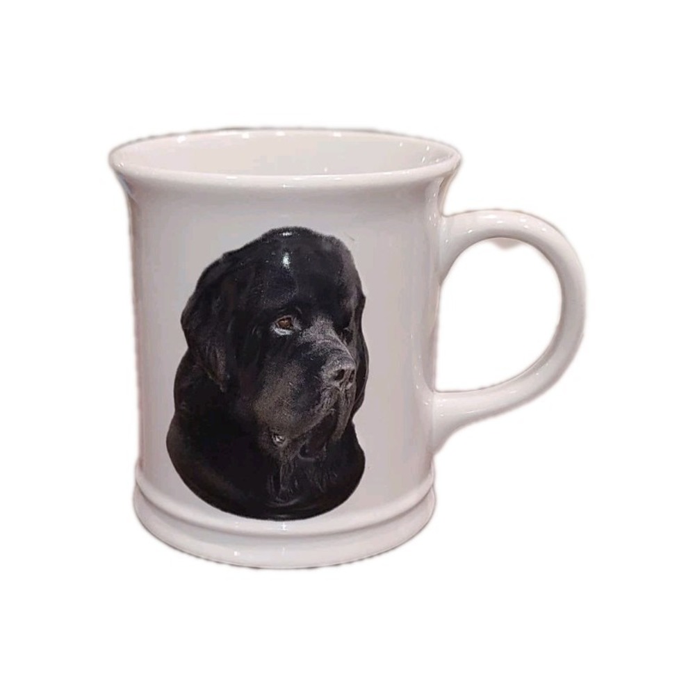 Newfoundland Dog Mug 1999 Best Friend Originals Xpres Originals Vintage